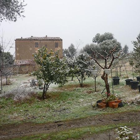 B&B Pietra-Monetta Pietra Moneta Exterior foto