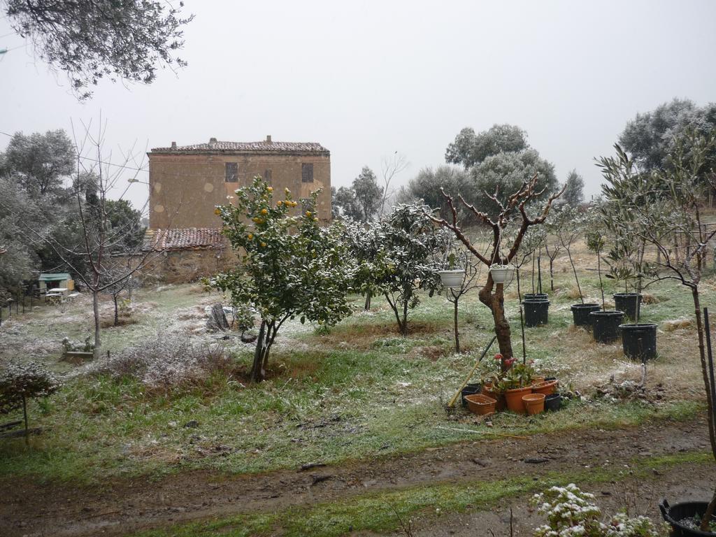 B&B Pietra-Monetta Pietra Moneta Exterior foto