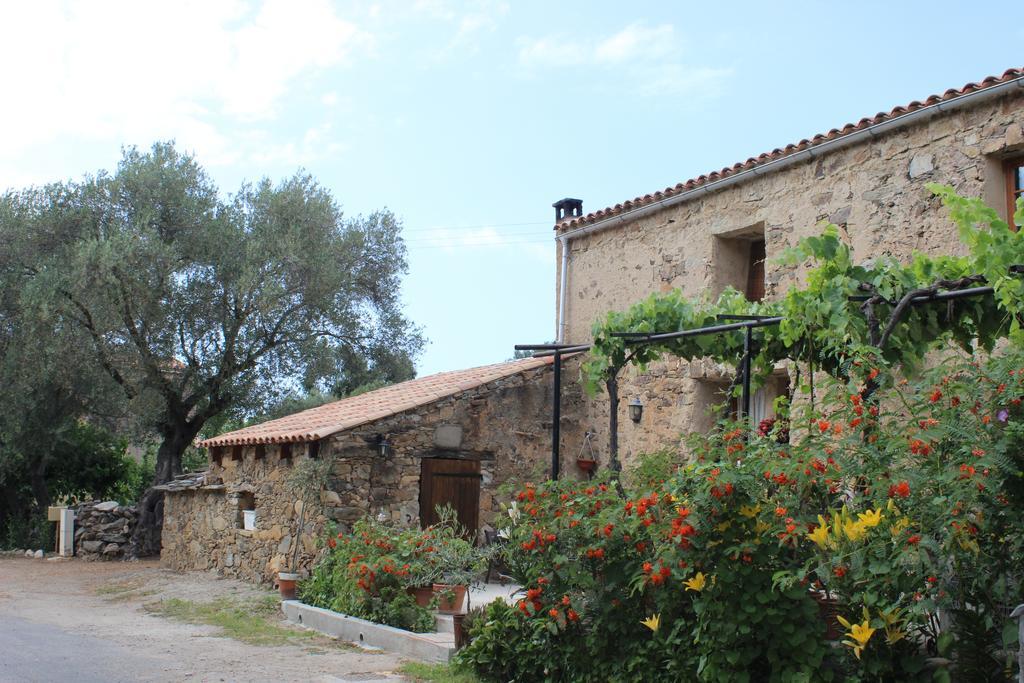 B&B Pietra-Monetta Pietra Moneta Exterior foto